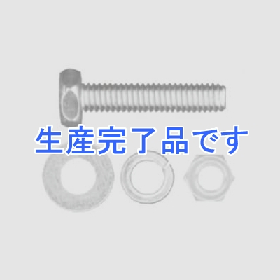 若井産業 ステンレス 六角ボルトセット サイズ10×70mm 2本入  2M-1070