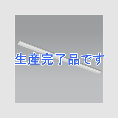 遠藤照明 LEDベースライト 《LEDZ SDシリーズ》 110Wタイプ 直付タイプ 反射笠付形 高効率省エネタイプ 17000lmタイプ 無線調光タイプ Hf86W×2灯高出力型器具相当 昼白色  ERK9819W+RAD-572NA