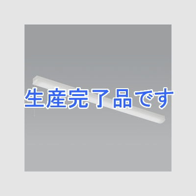 遠藤照明 LEDベースライト 《LEDZ SDシリーズ》 40Wタイプ 直付タイプ トラフ形 一般タイプ 6000lmタイプ 無線調光タイプ Hf32W×2灯高出力型器具相当 昼白色 プルスイッチ付  ERK9917W+RAD-595N