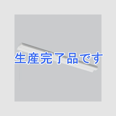 遠藤照明 LEDベースライト 《LEDZ SDシリーズ》 40Wタイプ 直付タイプ 反射笠付形 高効率省エネタイプ 6900lmタイプ 無線調光タイプ Hf32W×2灯高出力型器具相当 昼光色 プルスイッチ付  ERK9847W+RAD-553D