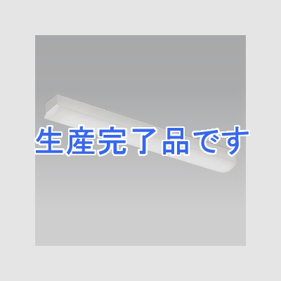 遠藤照明 LEDベースライト 《LEDZ SDシリーズ》 20Wタイプ 直付タイプ トラフ形 一般タイプ 1800lmタイプ 非調光タイプ Hf16W×1灯高出力型器具相当 昼白色  ERK9561W+RAD-607NA