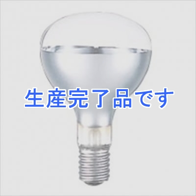 岩崎電気  RF220V135WH