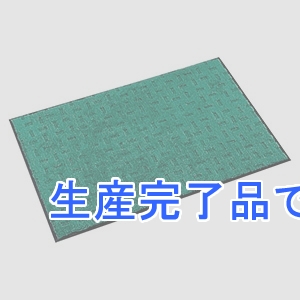 テラモト 【生産完了品】【受注生産品】雨天用マット 《エコレイン》 NBR製タイプ 600×900mm グリーン  MR-026-040-1