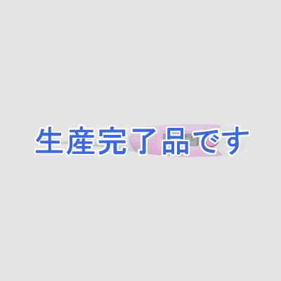 ドリテック 【生産終了品】やわらかタッチ体温計  TO-102PK