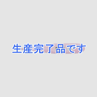 ドリテック 【生産終了品】電子体温計  TO-100PK