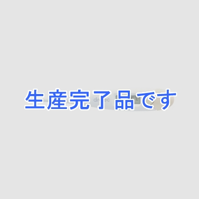 ドリテック 【生産終了品】予測式体温計  TO-200PK