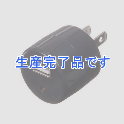 YAZAWA(ヤザワ) 【生産終了】AC/USB変換アダプター 黒  HM100BKUSB