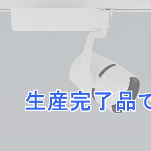 遠藤照明 【生産終了品】LEDスポットライト プラグタイプ 2400TYPE CDM-TC70W相当 中角配光 非調光 電球色 白  ERS4297WB