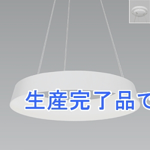 遠藤照明 【生産終了品】LEDペンダントライト フレンジタイプ 白熱球150W形相当 非調光 電球色  ERP7316W