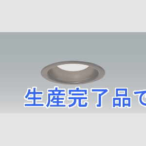 アイリスオーヤマ  LSB100-10SNLDCAB-V3