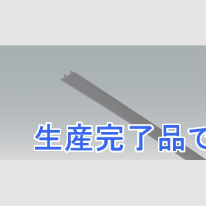 アイリスオーヤマ 【生産完了】【メーカー在庫限り】レールカバー1m  DRCL-RCB