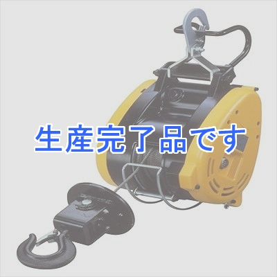 RYOBI(リョービ) 【プロ用】 ウインチ WI-125 21m