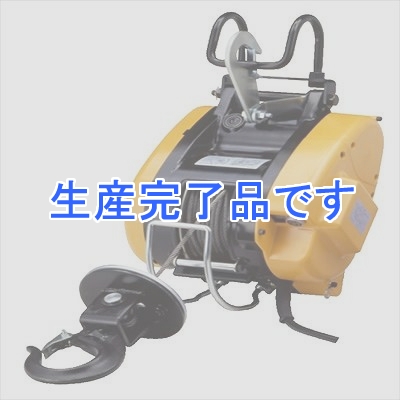 RYOBI(リョービ) 【プロ用】 ウインチ WIM-125A21m