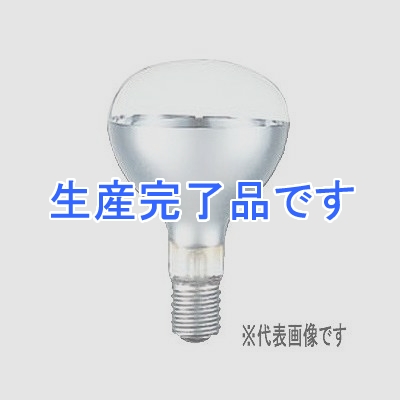 イワサキ 【生産完了】屋外投光用アイランプ 散光形 110V用 1000形 E39  RF110V900WH