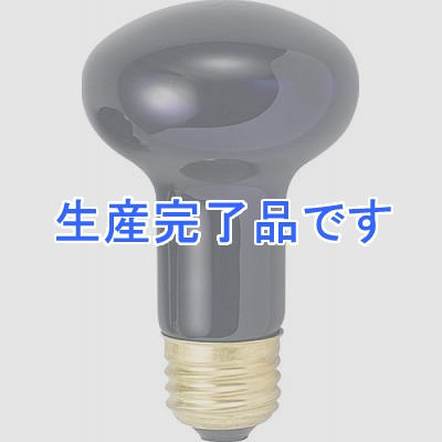 YAZAWA(ヤザワ) 【生産終了】プラセードクリップライト 電球形蛍光灯 昼光色 40W形 ブルー  R622660BL