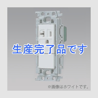 パナソニック 15A・20A兼用埋込接地コンセント ブランクチップ付 絶縁取付枠付 20A 125V 利休色  WTF19214GK