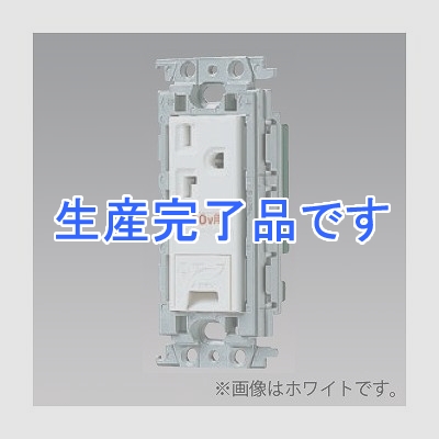 パナソニック 【生産終了】15A・20A兼用埋込アースターミナル付接地コンセント 絶縁取付枠付 20A 250V 利休色  WTF19324GK