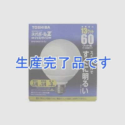 東芝 【生産終了】電球形蛍光ランプ 10本セット G形 60Wタイプ 昼光色  EFG15ED13ZJ-10SET