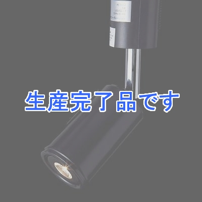 YAZAWA(ヤザワ) 【生産終了】3W電球色LEDスポットライトBK  SPLE03L01BK