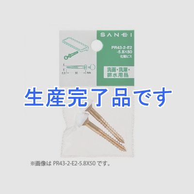 三栄水栓製作所 【生産完了】化粧ビス 2本入り 長さ:63mm  PR43-2-F2-5.8X63