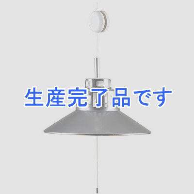 YAZAWA(ヤザワ) 【生産終了】ペンダントライト2灯E26電球なしCH  PDX100EL209CH