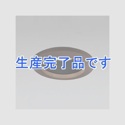 オーデリック LEDダウンライト SB形 埋込穴φ100 白熱灯100Wクラス 拡散配光 連続調光 本体色:木枠(民芸塗) 電球色タイプ 2700K  OD261668