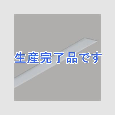 東芝 レールカバー ライティングレール用 長さ1m シルバー用  DR0294N(S)