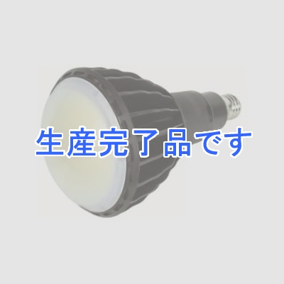 日動工業 【生産完了】【ケース販売特価 6個セット】LED電球《エコビック》 水銀灯400W相当 昼白色 全光束13000lm E39口金 本体黒色  L100W-E39-WBK-50K-N_set