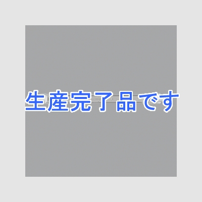 パナソニック 【生産終了】両口金形ハロゲン電球 110V 150W R7s口金  J110V150W