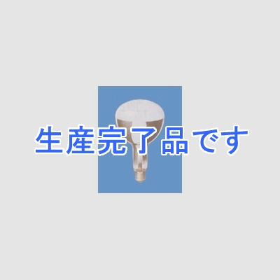 岩崎電気 アイ セルフバラスト水銀ランプ 反射形(拡散形) 300W  BHRF100/110V300WH