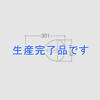 岩崎電気 アイ水銀ランプ蛍光反射形300W  HRF300X