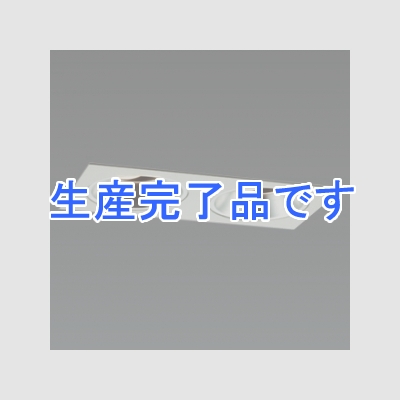 山田照明 ダウンライト 取付穴75×165mm 埋込高100mm 電球(GU5.3口金)別売・トランス別売  DD-3103