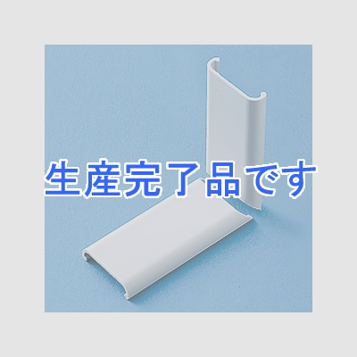 サンワサプライ  CA-F22R