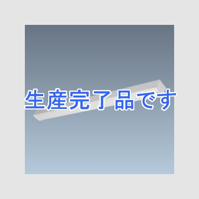 日立 交換形LEDベースライト 《スマートユニット》防湿・防雨形 トラフ形 3800lmタイプ FLR40形2灯器具相当 昼白色 固定出力形  WGP4A+WGE403NE-N14A