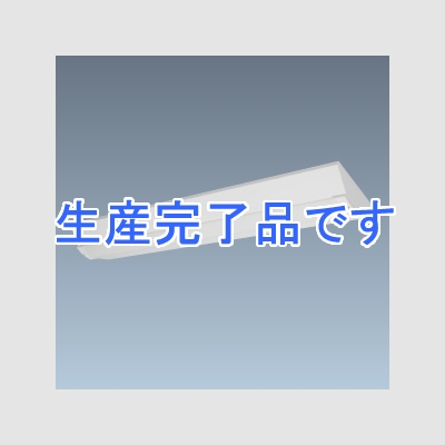 日立 交換形LEDベースライト 《スマートユニット》防湿・防雨形 逆富士形 幅230mm 3800lmタイプ FLR40形2灯器具相当 昼白色 固定出力形  WGN4B+WGE403NE-N14A