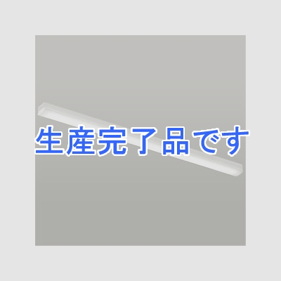 遠藤照明 LEDベースライト 《LEDZ SDシリーズ SOLID TUBELite》 110Wタイプ 直付タイプ トラフ形 一般タイプ 10000lmタイプ FLR110W×2灯器具相当 昼白色 非調光タイプ  ERK9560W+RAD-562N