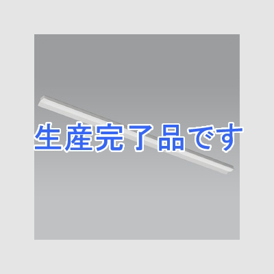 遠藤照明 LEDベースライト 《LEDZ SDシリーズ SOLID TUBELite》 110Wタイプ 直付タイプ 反射笠付形 一般タイプ 13000lmタイプ Hf86W×2灯高出力型器具相当 昼白色 非調光タイプ  ERK9819W+RAD-711N