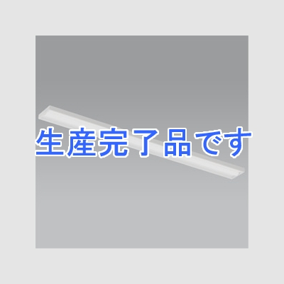 遠藤照明 LEDベースライト 《LEDZ SDシリーズ SOLID TUBELite》 110Wタイプ 直付タイプ 下面開放形 高効率省エネタイプ 13500lmタイプ Hf86W×2灯高出力型器具相当 昼白色 非調光タイプ  ERK9562W+RAD-701N