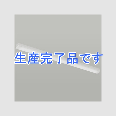 遠藤照明 LEDベースライト 《LEDZ SDシリーズ SOLID TUBELite》 40Wタイプ 直付タイプ トラフ形 一般タイプ 6000lmタイプ Hf32W×2灯高出力型器具相当 昼白色 非調光タイプ  ERK9636W+RAD-705N