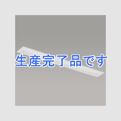 遠藤照明 LEDベースライト 《LEDZ SDシリーズ SOLID TUBELite》 40Wタイプ 埋込タイプ 白ルーバ形 一般タイプ 6000lmタイプ Hf32W×2灯高出力型器具相当 昼白色 非調光タイプ  ERK9567W+RAD-706N