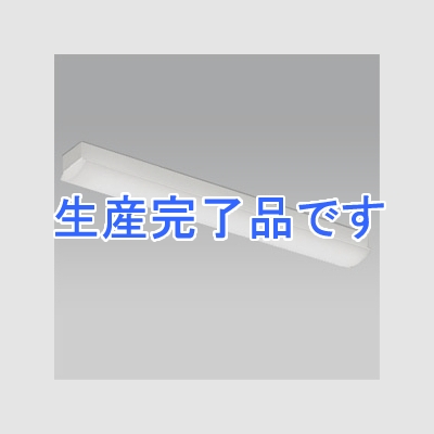 遠藤照明 LEDベースライト 《LEDZ SDシリーズ SOLID TUBELite》 20Wタイプ 直付タイプ トラフ形 一般タイプ 1800lmタイプ FL20W×2灯器具相当 昼白色 非調光タイプ  ERK9561W+RAD-607N