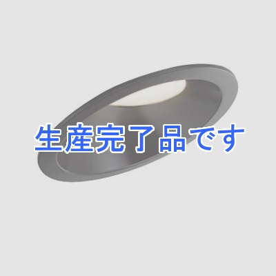 DAIKO LEDダウンライト 傾斜天井用 COBタイプ 高気密SB形 調光タイプ 昼白色 白熱灯100Wタイプ 防滴形 埋込穴φ100 ブラック  DDL-5023WB