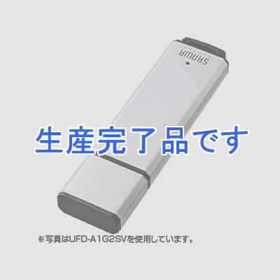 サンワサプライ USB2.0メモリ 1GB ネックストラップ付 シルバー  UFD-A1G2SVK