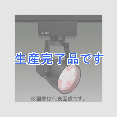 アイリスオーヤマ 【生産完了】LEDスポットライト 《S-tria》 食品売場用タイプ 鮮魚用 LED12灯 非調光タイプ 配光角15° ライティングレール用 ブラック  SP12FI-15STB