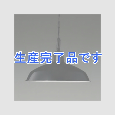 コイズミ照明 LEDランプ交換可能型ペンダントライト 引掛シーリング取付タイプ 7.1W 白熱球60W相当 口金E26 電球色 黒色塗装  AP38150L