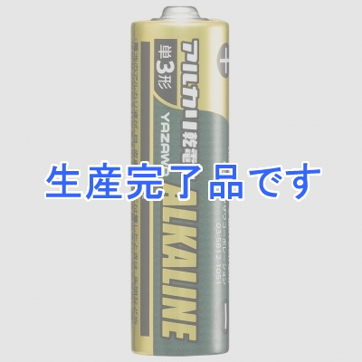 YAZAWA(ヤザワ) 【生産終了】アルカリ乾電池 単3形シュリンク40本パック  LR6Y4S10