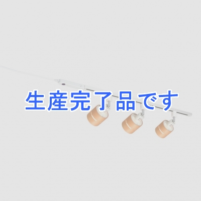 YAZAWA(ヤザワ) 【在庫限り】リモコン付ライティングダクトレール1mホワイト  LRR1001WH